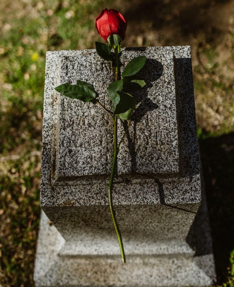 Kontakt z biurem ORKUS